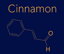 Cinnamon Syrup - Coming Soon