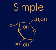 Simple Syrup