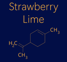 Strawberry Lime Syrup - Coming Soon